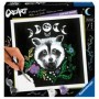 CreArt pictura pe numere pentru adulti editie Pixie Cold raton